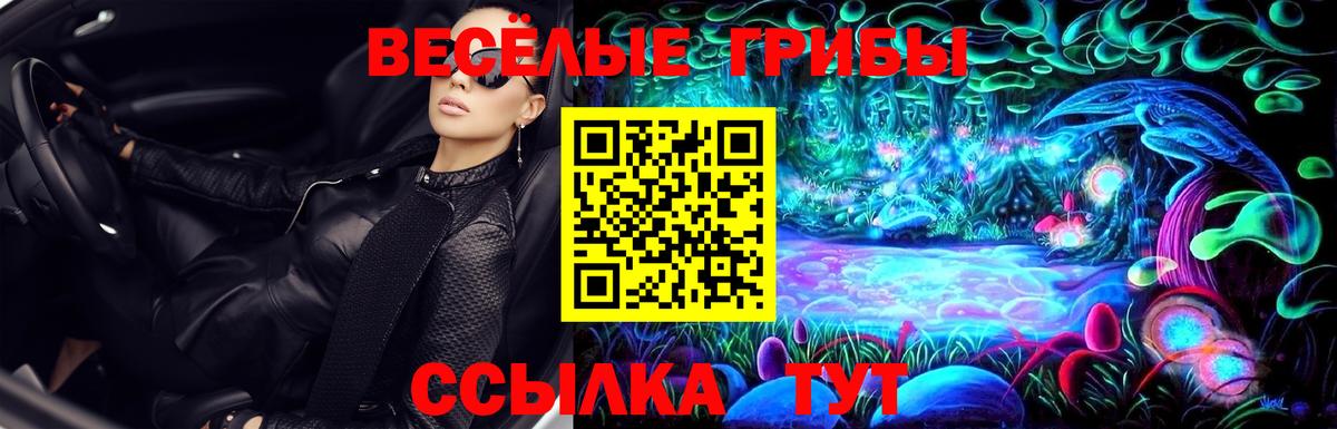 Ишим  Псилоцибиновые грибы Psilocybe  Вход с VPN  Псилоцибиновые грибы Cubensis 