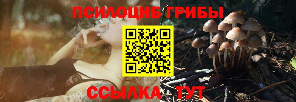 Псилоцибиновые грибы мухоморы Ишим