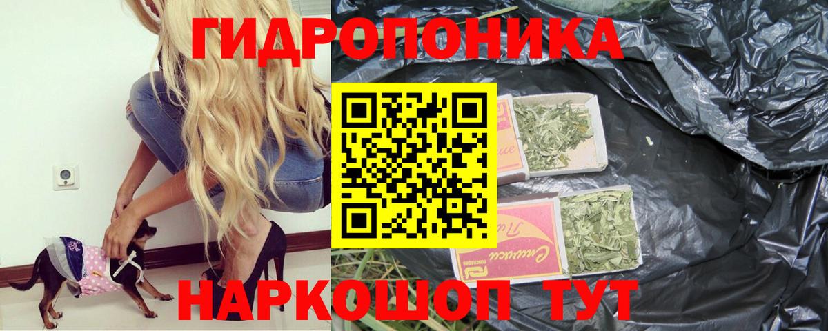 Шишки марихуана план Ишим